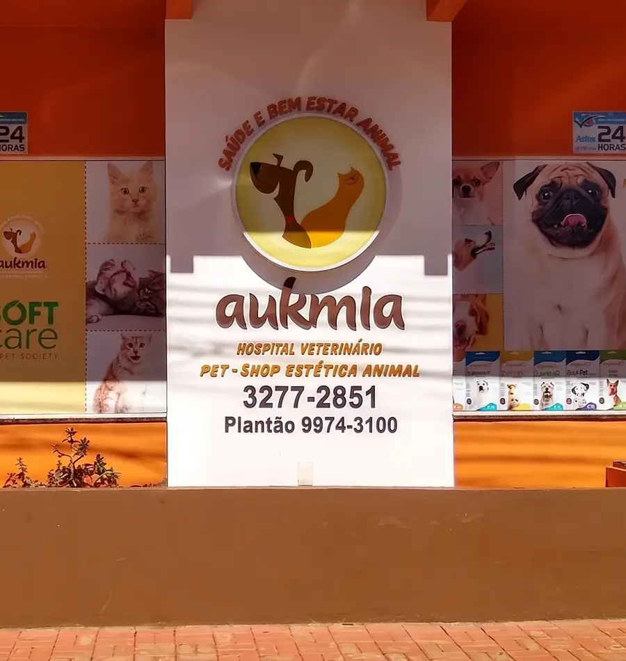 Imagem de apoio da clínica